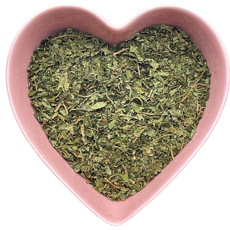 Papaya Leaf Cut 1 oz (Carica papaya) - Magick Magick.com