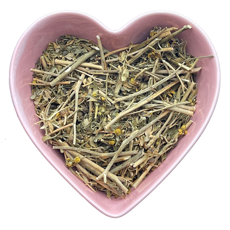 Rue Herb 1 lb (Ruta graveolens) - Magick Magick.com