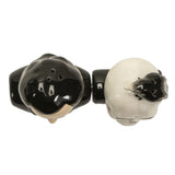 Salt & Pepper Shaker - Poe & Raven - Magick Magick.com