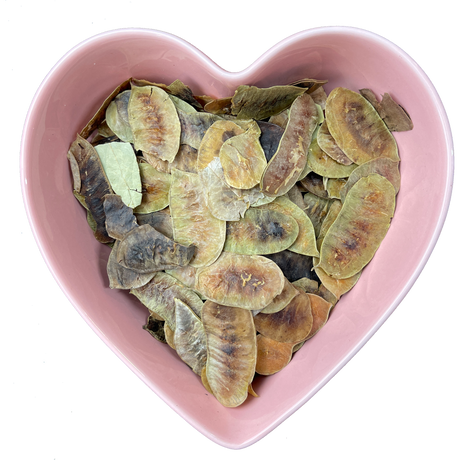 Senna Pods Whole 1 oz (Cassia Angustifolia) - Magick Magick.com