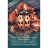 Spirit of the Animals Oracle by Jody Bergsma - Magick Magick.com