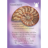 The Archangels and Gemstone Guardians Cards by Margaret Ann Lembo, Richard Crookes - Magick Magick.com