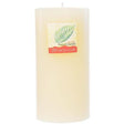 Traditional 3" x 6" Pillar Candle - French Vanilla - Magick Magick.com