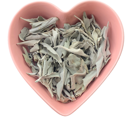 White Sage Leaf Whole 1 oz (Salvia apiana) - Magick Magick.com