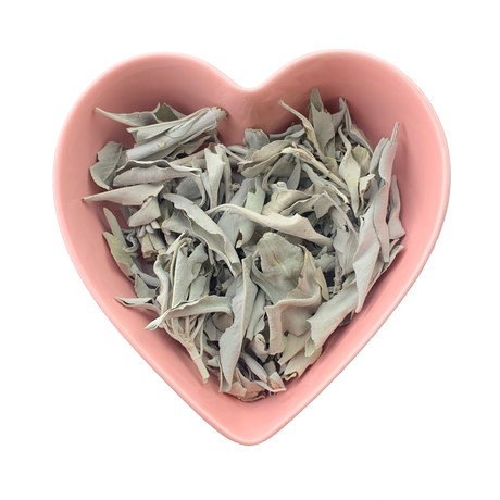 White Sage Leaf Whole 2 oz (Salvia apiana) - Magick Magick.com