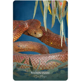 Wild Wisdom Australia Oracle by Bonnie Hughes, Karin Roberts - Magick Magick.com