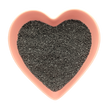 Witches Black Salt 1 lb - Magick Magick.com