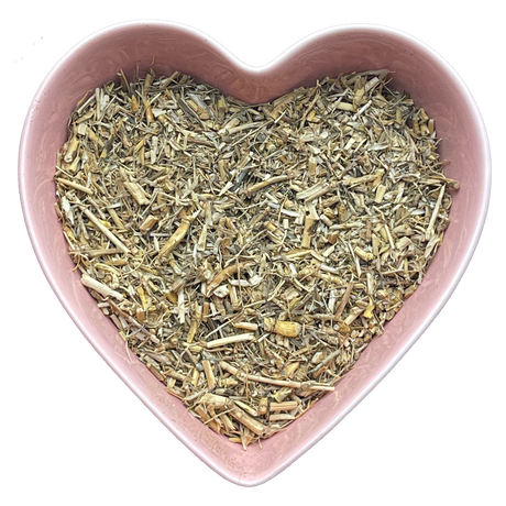 Witches Grass Cut 1 lb (Agropryon Repens) - Magick Magick.com