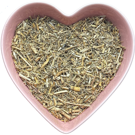 Witches Grass Cut 1 oz (Agropyron Repens) - Magick Magick.com