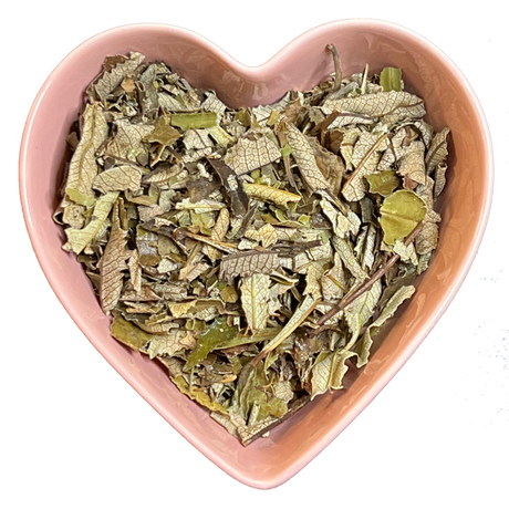 Yerba Santa Leaf Whole 1 oz (Eriodictyon californicum) - Magick Magick.com